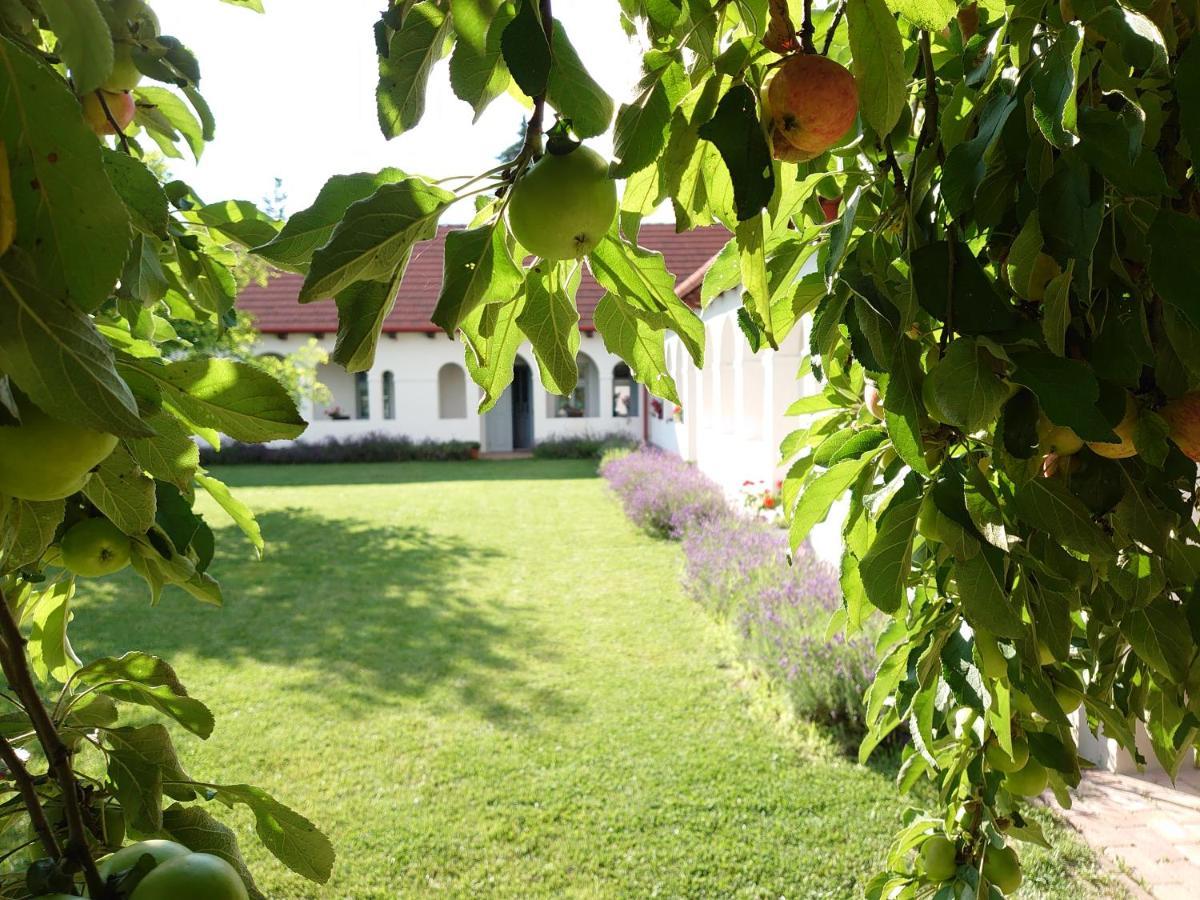 Bakta Haz Hotel Egerbakta Ngoại thất bức ảnh